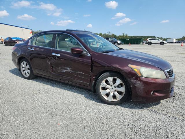 5KBCP3F84AB007898 - 2010 HONDA ACCORD EXL მუქწითელი ფოტო 4