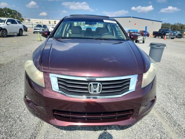5KBCP3F84AB007898 - 2010 HONDA ACCORD EXL მუქწითელი ფოტო 5