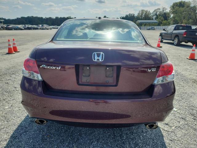 5KBCP3F84AB007898 - 2010 HONDA ACCORD EXL მუქწითელი ფოტო 6