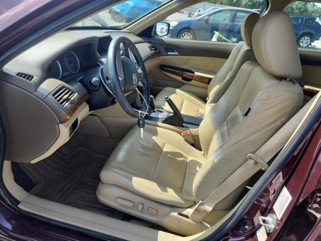 5KBCP3F84AB007898 - 2010 HONDA ACCORD EXL მუქწითელი ფოტო 7