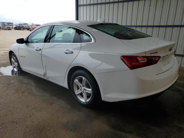 1G1ZD5ST4RF174799 - 2024 CHEVROLET MALIBU LT Weiß Foto 2