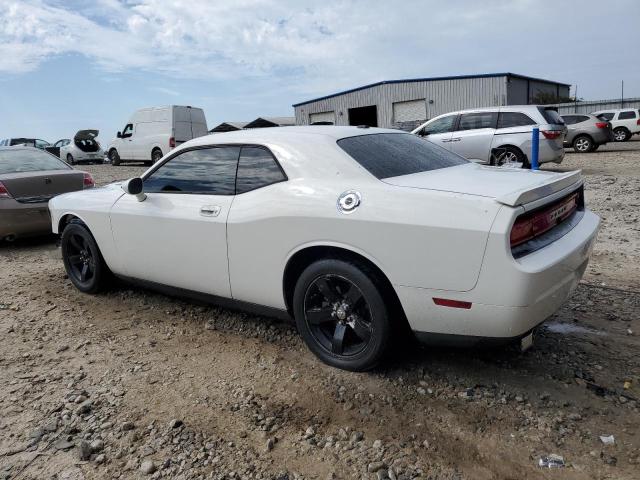 2B3CJ5DT9AH244840 - 2010 DODGE CHALLENGER R/T თეთრი ფოტო 2