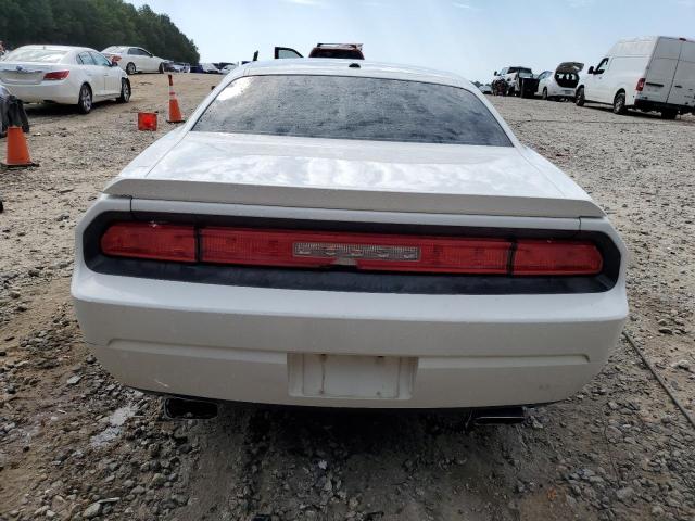 2B3CJ5DT9AH244840 - 2010 DODGE CHALLENGER R/T თეთრი ფოტო 6