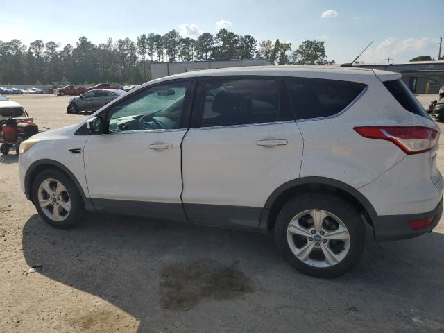 1FMCU0GX6DUC64158 - 2013 FORD ESCAPE SE თეთრი ფოტო 2