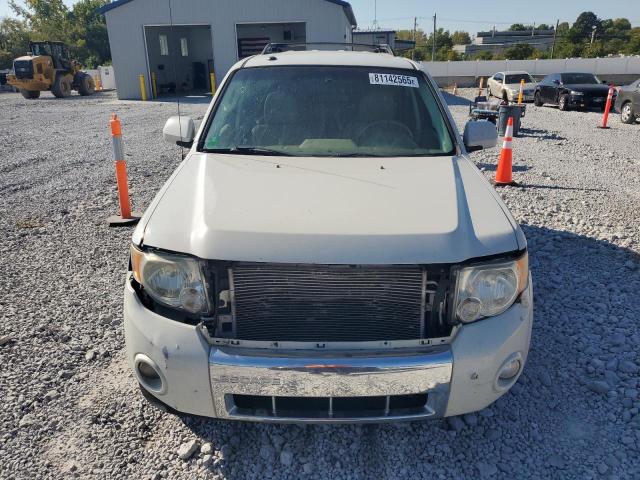1FMCU9E76BKB33442 - 2011 FORD ESCAPE LIMITED Biały zdjęcie 5