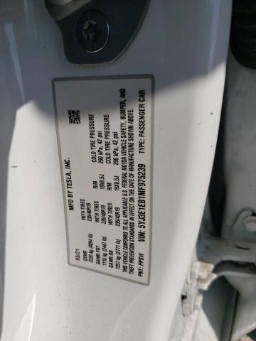5YJ3E1EB1MF975239 - 2021 TESLA MODEL 3 თეთრი ფოტო 13