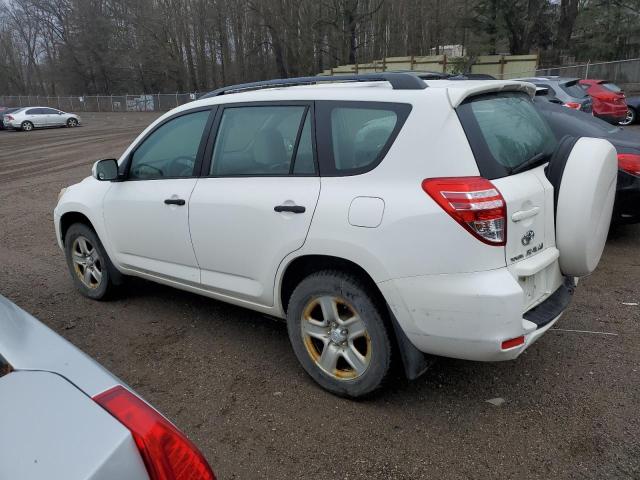 2T3BF4DV5AW035005 - 2010 TOYOTA RAV4 WHITE photo 2