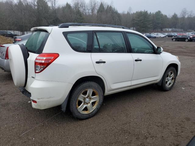 2T3BF4DV5AW035005 - 2010 TOYOTA RAV4 WHITE photo 3