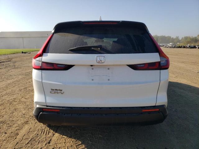 5J6RS4H76RL000746 - 2024 HONDA CR-V EXL 白色 照片 6