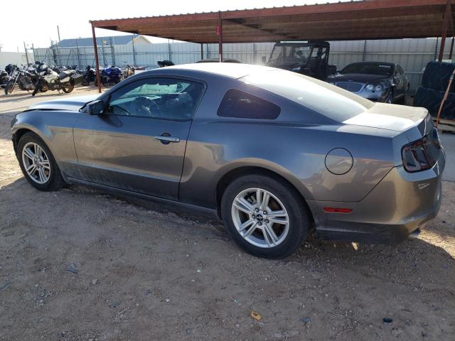 1ZVBP8AMXE5284281 - 2014 FORD MUSTANG GRAY photo 2