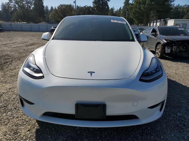 7SAYGDEE9PA073454 - 2023 TESLA MODEL Y 白色 照片 5