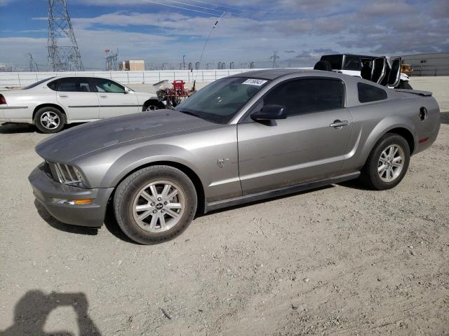 1ZVHT80N295116821 - 2009 FORD MUSTANG SILVER photo 1