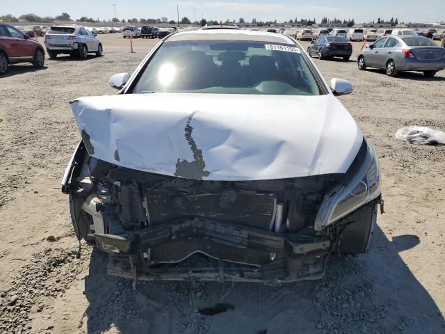 5NPE34AF0GH333402 - 2016 HYUNDAI SONATA SPORT WHITE photo 5