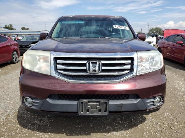 5FNYF3H5XDB038376 - 2013 HONDA PILOT EXL Bordeaux photo 5