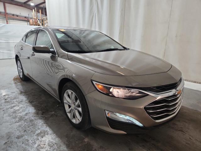 1G1ZD5ST8RF213281 - 2024 CHEVROLET MALIBU LT GOLD photo 4