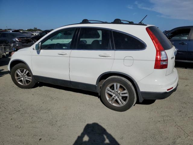JHLRE4H78AC010098 - 2010 HONDA CR-V EXL 白色 照片 2