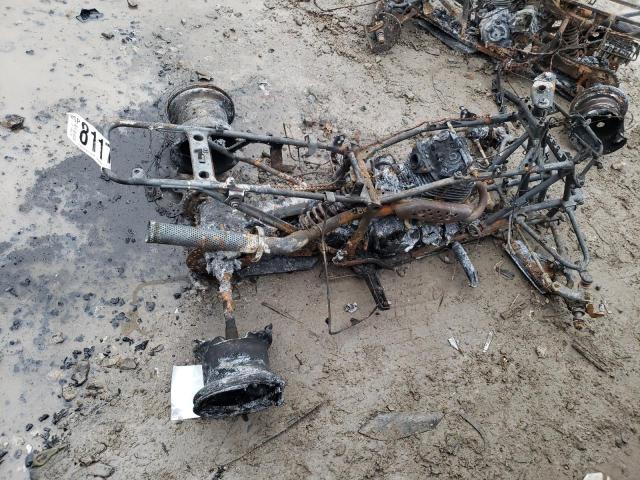 JH3TE190XVK206948 - 1997 HONDA TRX300 EX BURN photo 10