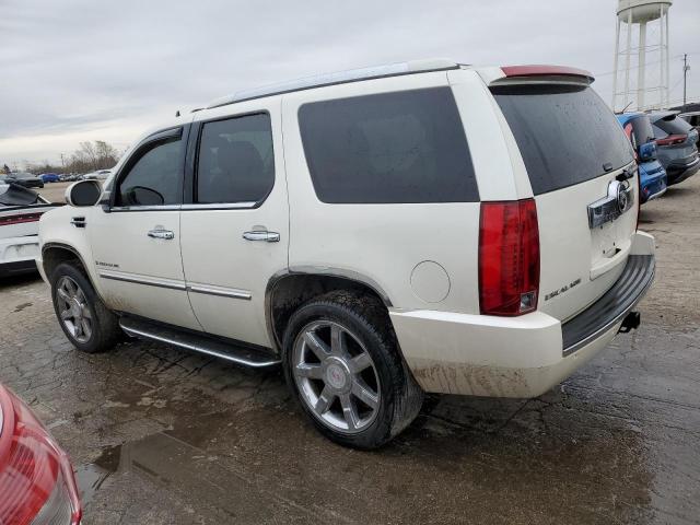 1GYFK63817R167704 - 2007 CADILLAC ESCALADE LUXURY Սպիտակ լուսանկար 2