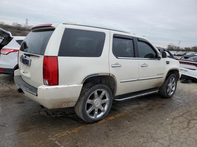1GYFK63817R167704 - 2007 CADILLAC ESCALADE LUXURY Սպիտակ լուսանկար 3