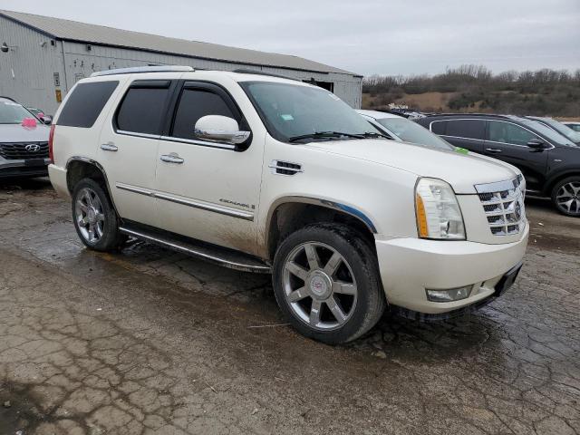 1GYFK63817R167704 - 2007 CADILLAC ESCALADE LUXURY Սպիտակ լուսանկար 4