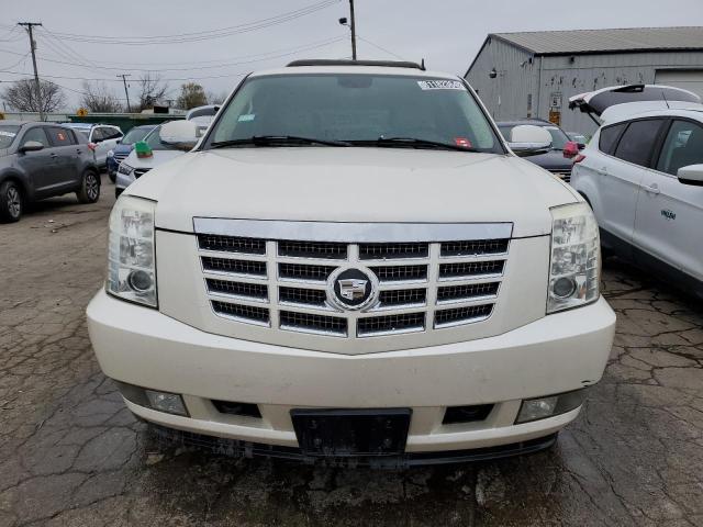 1GYFK63817R167704 - 2007 CADILLAC ESCALADE LUXURY Սպիտակ լուսանկար 5