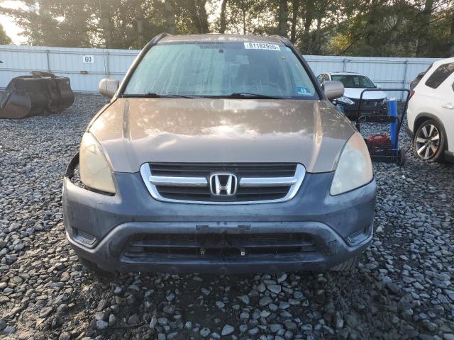 JHLRD78832C021234 - 2002 HONDA CR-V EX 金色 照片 5