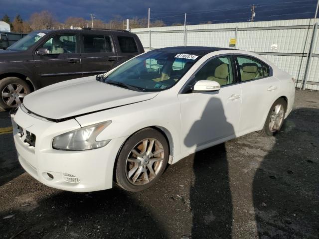 1N4AA5APXAC822546 - 2010 NISSAN MAXIMA S WHITE photo 1