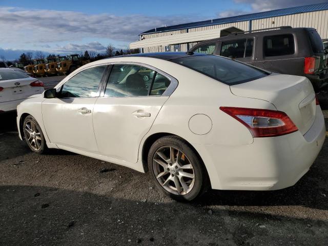 1N4AA5APXAC822546 - 2010 NISSAN MAXIMA S WHITE photo 2