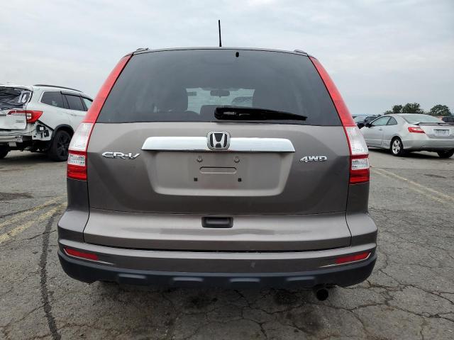 5J6RE4H59AL036389 - 2010 HONDA CR-V EX GRAY photo 6