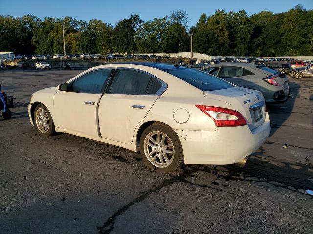 1N4AA5AP5BC826828 - 2011 NISSAN MAXIMA S WHITE photo 2