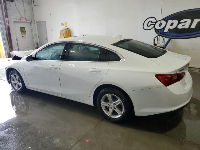 1G1ZD5STXRF181188 - 2024 CHEVROLET MALIBU LT 白色 照片 2