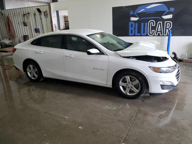 1G1ZD5STXRF181188 - 2024 CHEVROLET MALIBU LT 白色 照片 4