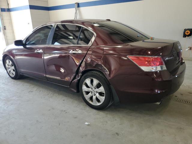 5KBCP3F84AB016746 - 2010 HONDA ACCORD EXL BURGUNDY photo 2