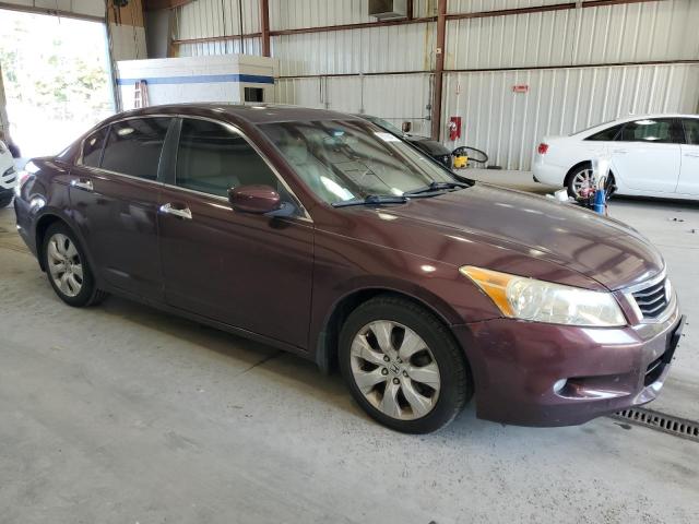 5KBCP3F84AB016746 - 2010 HONDA ACCORD EXL BURGUNDY photo 4