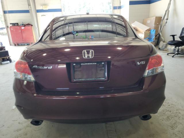 5KBCP3F84AB016746 - 2010 HONDA ACCORD EXL BURGUNDY photo 6