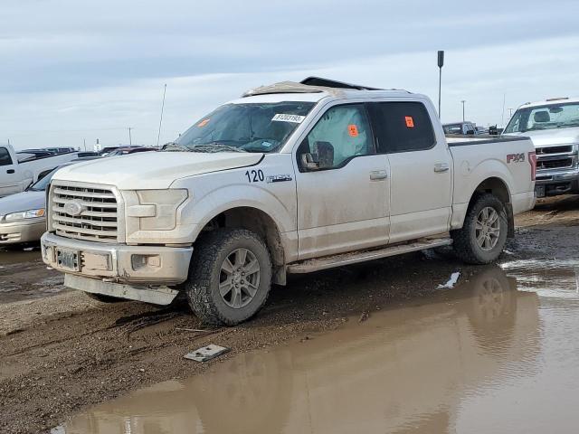 1FTEW1EF8GKE23303 - 2016 FORD F150 SUPERCREW WHITE photo 1