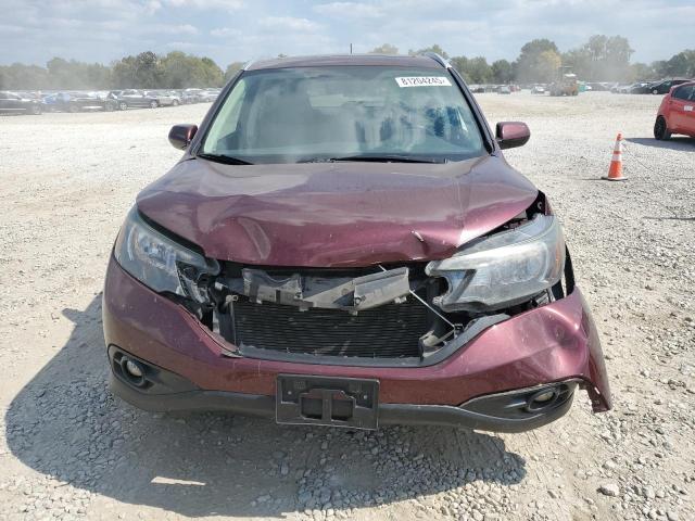 5J6RM4H79CL047867 - 2012 HONDA CR-V EXL BURGUNDY photo 5