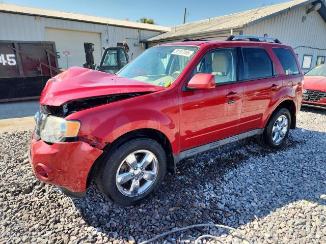 2010 FORD ESCAPE LIMITED, 