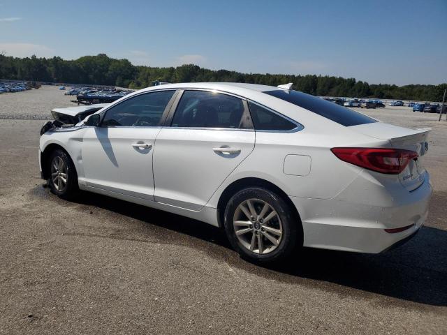 5NPE24AF3FH000922 - 2015 HYUNDAI SONATA SE Ağ foto 2