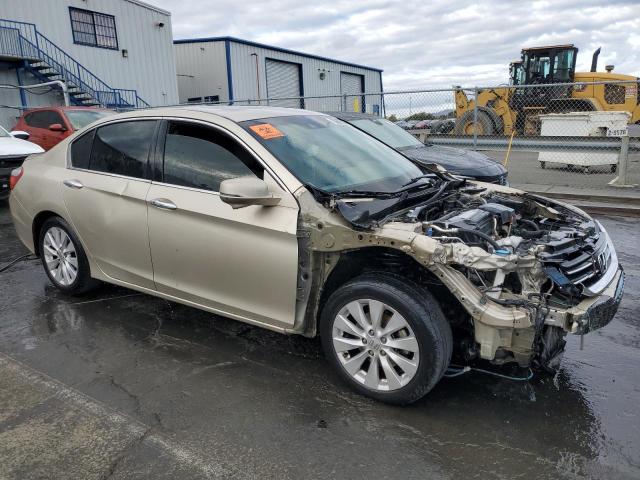 1HGCR2F83DA196982 - 2013 HONDA ACCORD EXL Altın fotoğraf 4