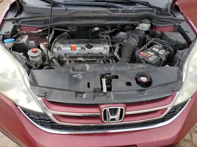 5J6RE4H71AL009771 - 2010 HONDA CR-V EXL Բորդո լուսանկար 12