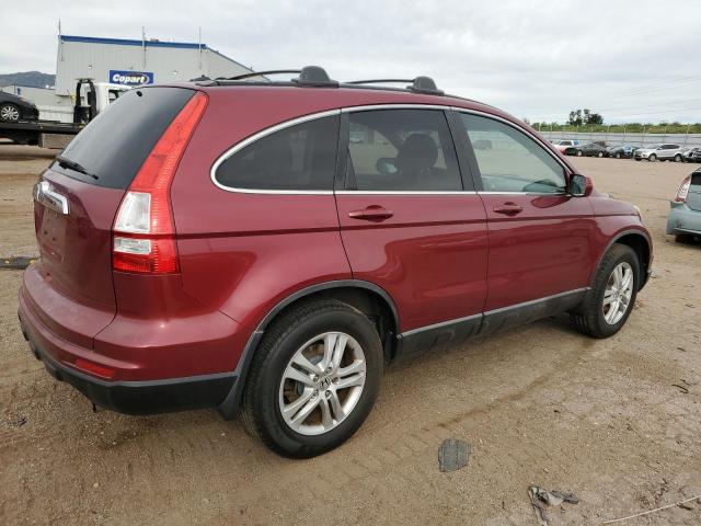 5J6RE4H71AL009771 - 2010 HONDA CR-V EXL Բորդո լուսանկար 3