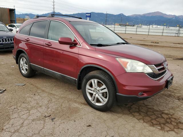 5J6RE4H71AL009771 - 2010 HONDA CR-V EXL Բորդո լուսանկար 4