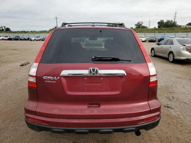 5J6RE4H71AL009771 - 2010 HONDA CR-V EXL Բորդո լուսանկար 6