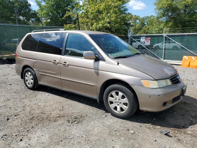 5FNRL18914B049397 - 2004 HONDA ODYSSEY EXL Ոսկեգույն լուսանկար 4