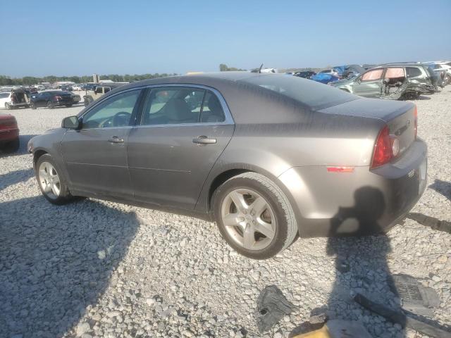 1G1ZB5EBXAF161925 - 2010 CHEVROLET MALIBU LS Boz foto 2