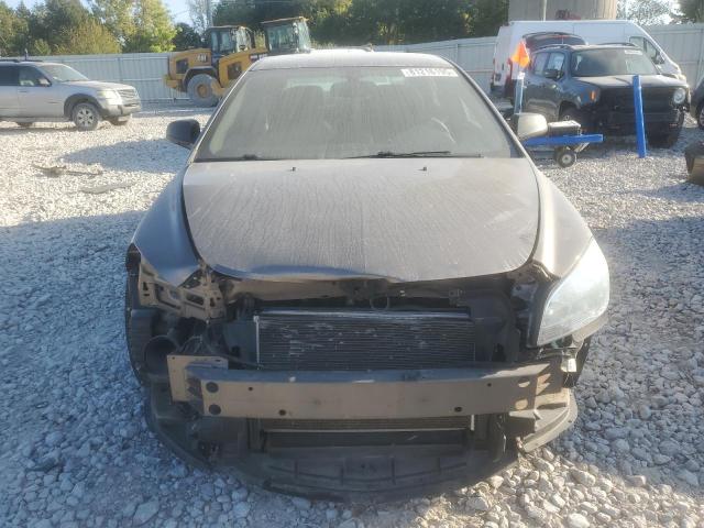 1G1ZB5EBXAF161925 - 2010 CHEVROLET MALIBU LS Boz foto 5