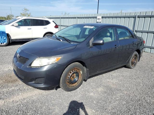 2009 TOYOTA COROLLA BASE, 