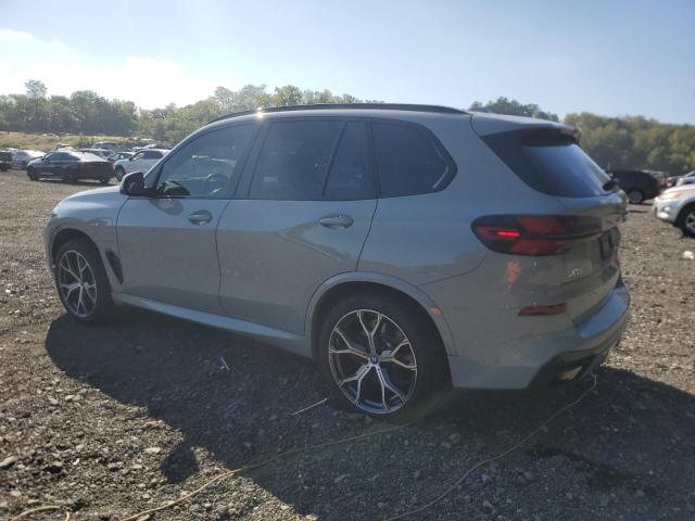 5UX43EU04S9X88942 - 2025 BMW X5 XDRIVE50E BLUE photo 2