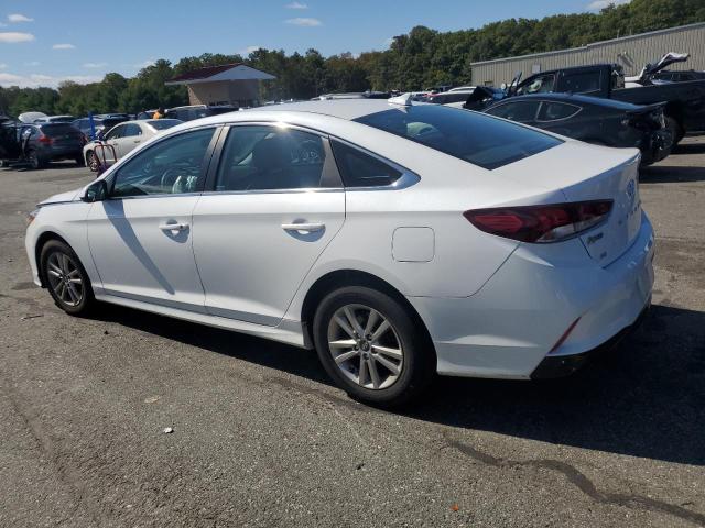 5NPE24AF6KH757033 - 2019 HYUNDAI SONATA SE 白色 照片 2